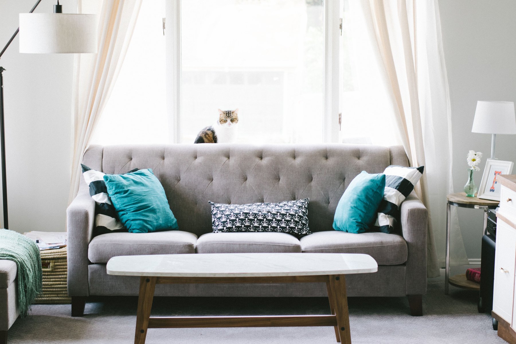 Minimalist Living Room Interior